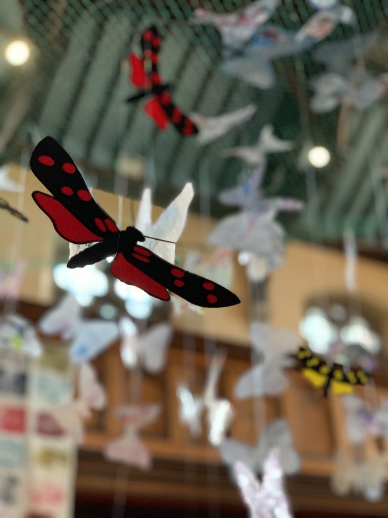 Chinese-Dragon-Flies